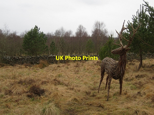 Photo 6"x4" Sculpture, Gordon Community Woodland Gordon\/NT6443 c2013
