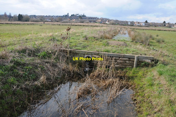 Photo 6"x4" Avon Meadows Community Wetland Pershore c2013