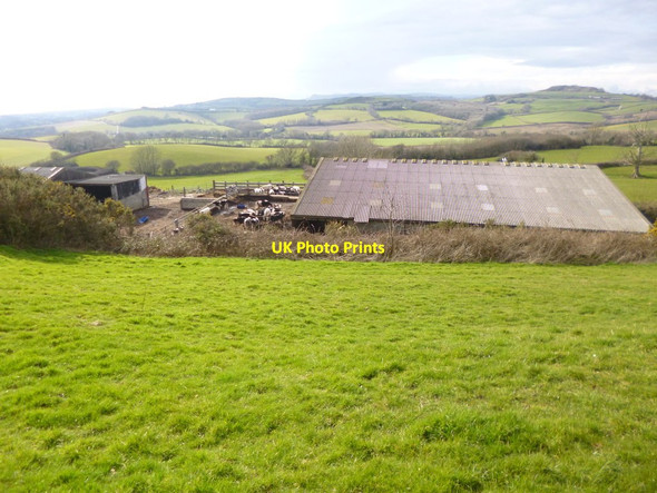 Photo 6"x4" Sturthill, dairy farm Chilcombe\/SY5291 c2013