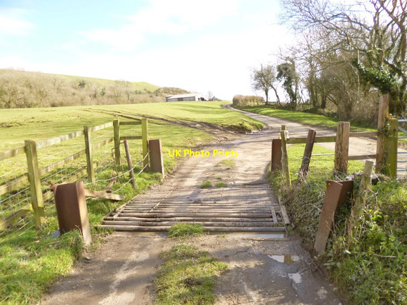 Photo 6"x4" Sturthill, cattle grid Chilcombe\/SY5291 c2013