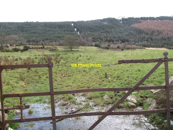 Photo 6"x4" Grazing land between Newtown Road and the Rostrevor Forest Rostrevor c2013