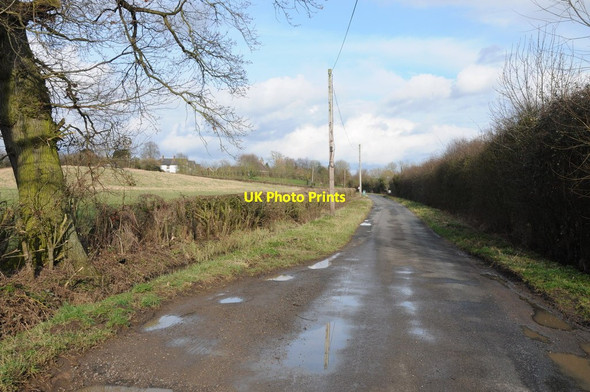 Photo 6"x4" Road to Wyre Mill Pinvin c2013