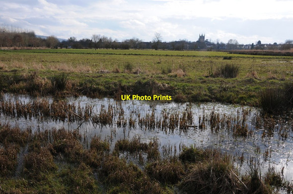 Photo 6"x4" Avon Meadows Community Wetland at Pershore Pershore c2013