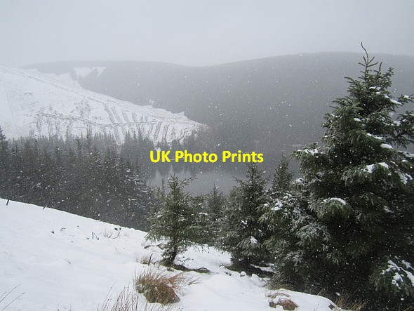 Photo 6"x4" Talla Bank Menzion c2013