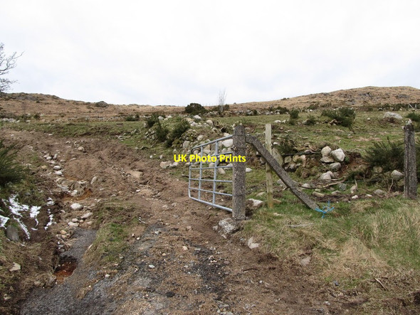 Photo 6"x4" Lane linking Sandbank Road with grazings on Crotlieve Mountain Hilltown\/J2128 c2013