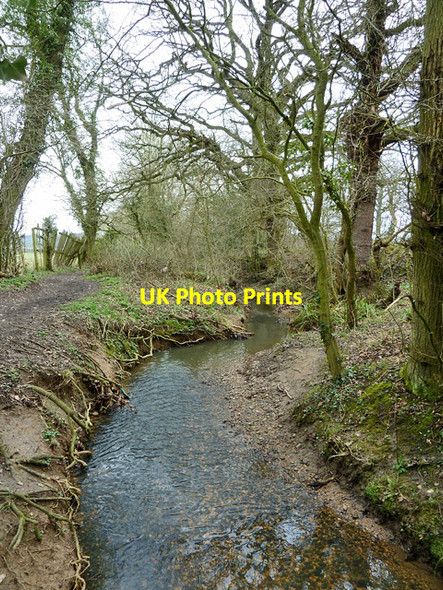 Photo 6"x4" Folly Brook Barnet c2013