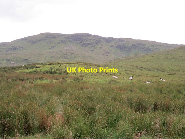 Photo 6"x4" Rough grazing, Bluestack Mountains Letterbarra c2012