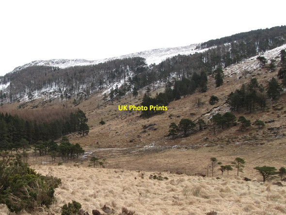 Photo 6"x4" Confluence of a hanging valley with the main Shankys River valley Hilltown\/J2128 c2013