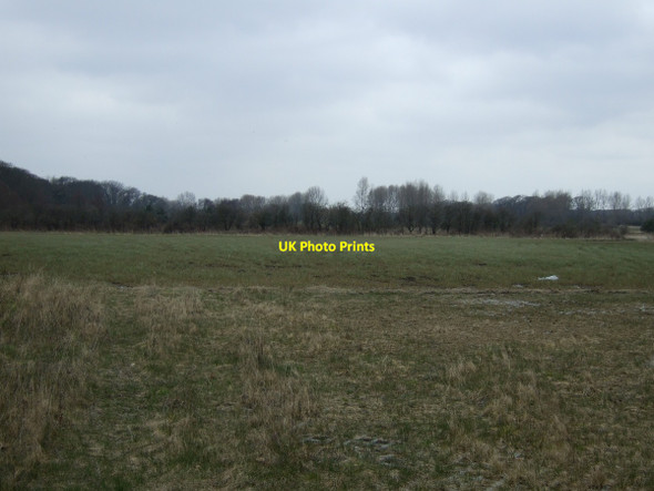 Photo 6"x4" Farmland, Saltcotes Saltcotes c2013