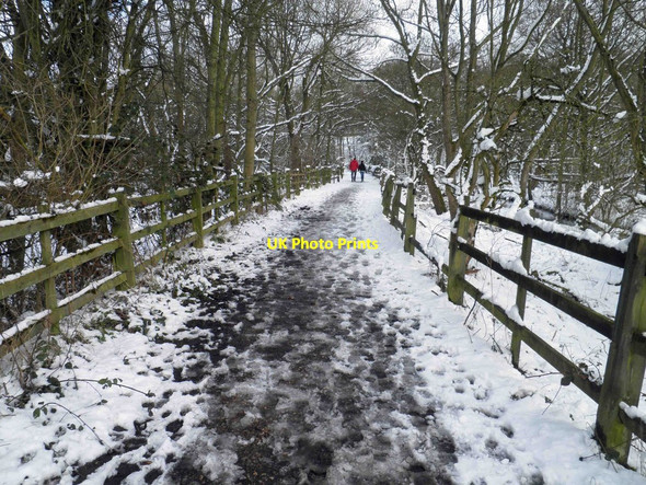 Photo 6"x4" Spring or Winter? Worsbrough c2013
