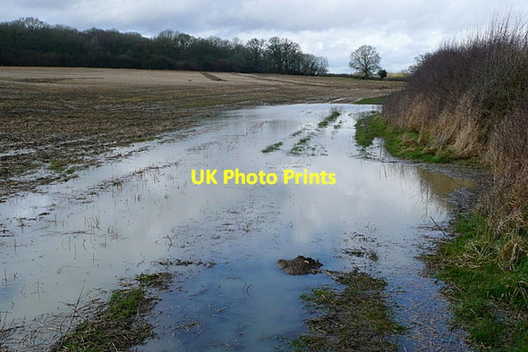 Photo 6"x4" Bridleway near Hall Farm Begbroke c2013