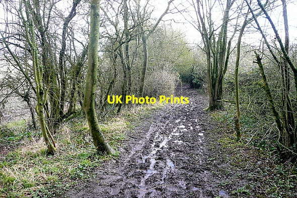 Photo 6"x4" Frogwelldown Lane Worton\/SP4611 c2013