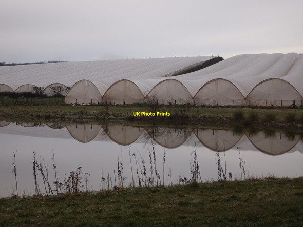 Photo 6"x4" Poly Tunnels, Handmore Cross Staunton on Wye c2013
