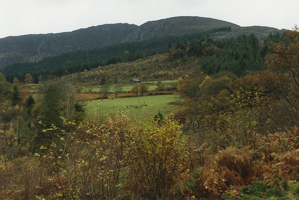 Photo 6"x4" Fields in Cwm Camlan Ganllwyd\/SH7224 c1991