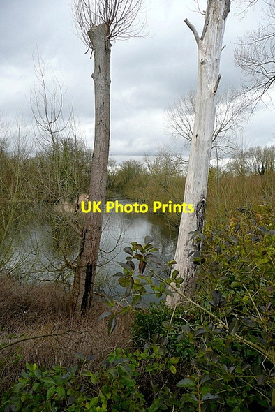 Photo 6"x4" Nature reserve at Upper Wolvercote Upper Wolvercote c2013