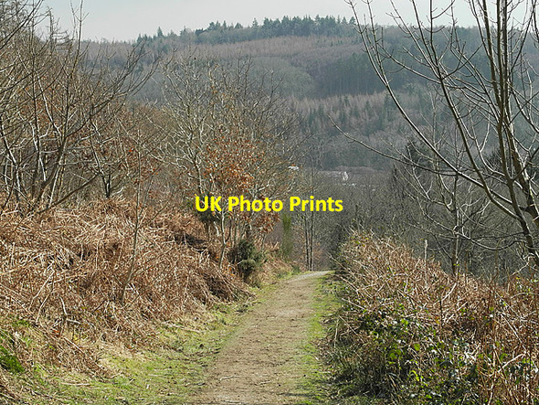 Photo 6"x4" Path descending Allt Dd\u00c3\u00aal Bow Street\/SN6284 c2013