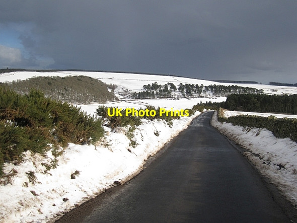 Photo 6"x4" Minor  road, Blackerstone Abbey St Bathans c2013