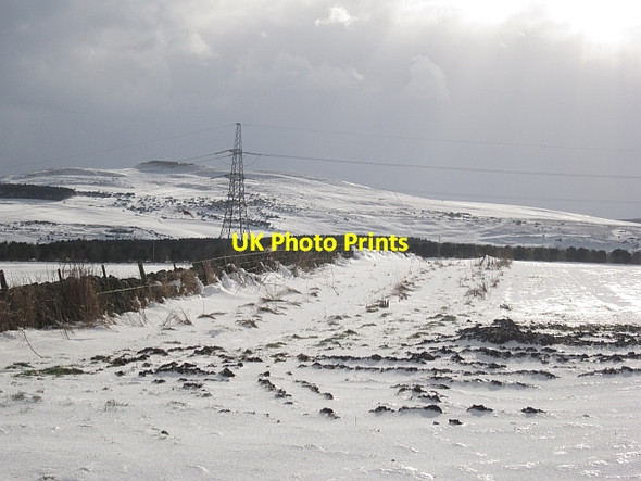 Photo 6"x4" Snow covered fields, Blackerstone Abbey St Bathans c2013
