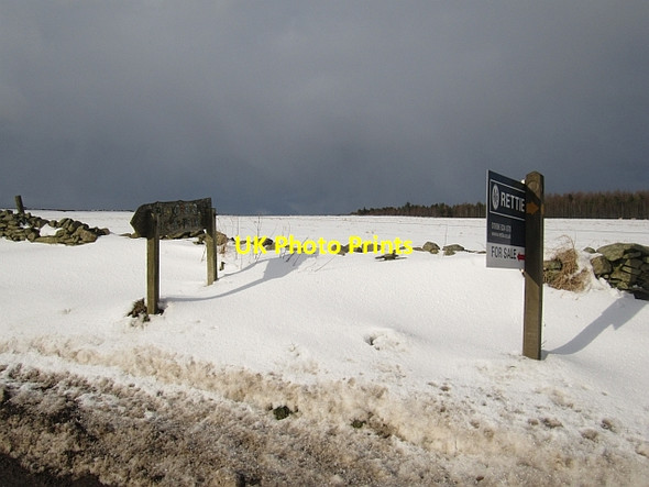 Photo 6"x4" Signs, Blackerston Abbey St Bathans c2013