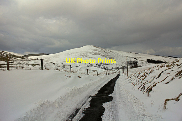 Photo 6"x4" Track to Glen Quey Glendevon\/NN9904 c2013