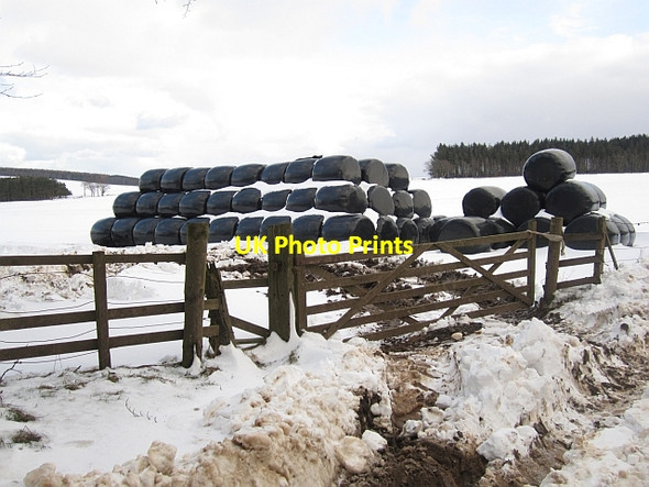 Photo 6"x4" Silage store Abbey St Bathans c2013