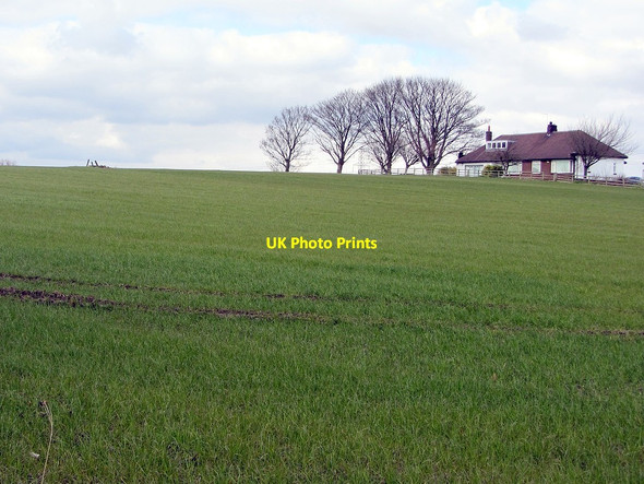 Photo 6"x4" Cottage at Horsley Marsh Horsley\/NZ0966 c2013