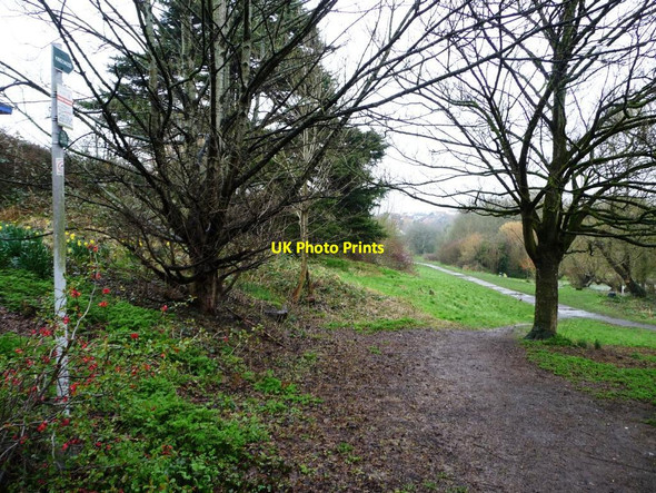 Photo 6"x4" Magpie Bottom Nature Reserve Kingswood\/ST6473 c2013