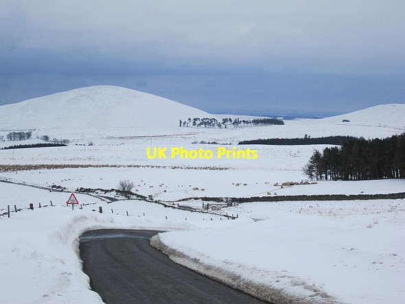 Photo 6"x4" Moor Road on Wrunk Law Longformacus c2013