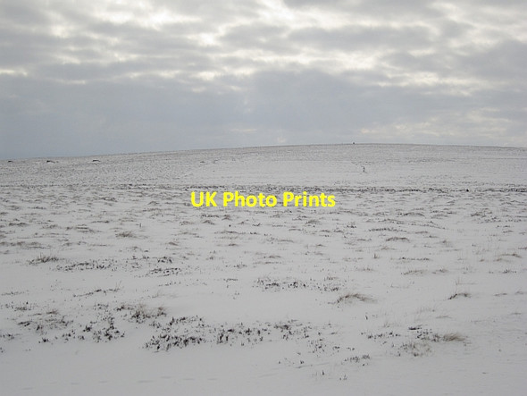 Photo 6"x4" Wether Law Cranshaws c2013