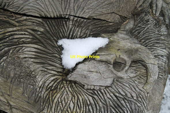 Photo 6"x4" Detail from 'Wolf Sculpture' Blackburn\/SK3892 c2013