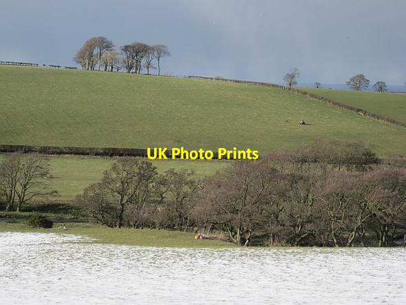 Photo 6"x4" Ewe and lamb, Heriot Water Cockburnspath c2013