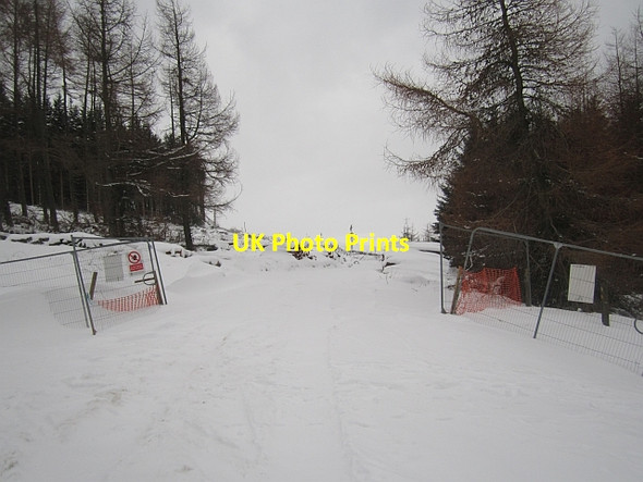 Photo 6"x4" Logging road, Minchmoor Rigg c2013