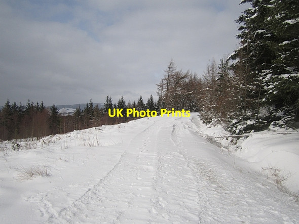 Photo 6"x4" Logging road, Minchmoor Rigg c2013