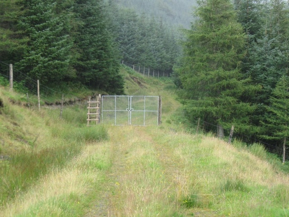 Photo 6"x4" Padlocked gate, Forest entrance, Glen Gloy Bulloch c2008