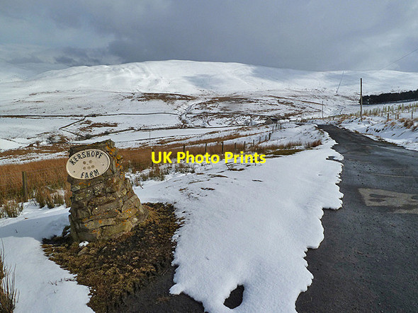 Photo 6"x4" The farm road to Wester Kershope Wester Kershope c2013