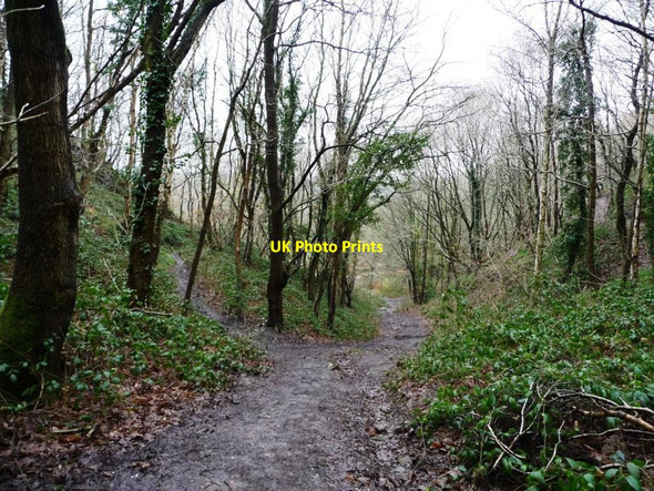 Photo 6"x4" Footpath junction in Avon Valley Woodlands Kingswood\/ST6473 c2013