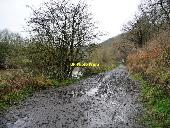 Photo 6"x4" Muddy towpath on the east bank of the Avon Kingswood\/ST6473 c2013