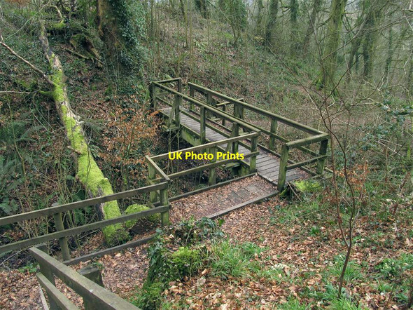 Photo 6"x4" Footbridge in Dinefwr Park Llandeilo c2013