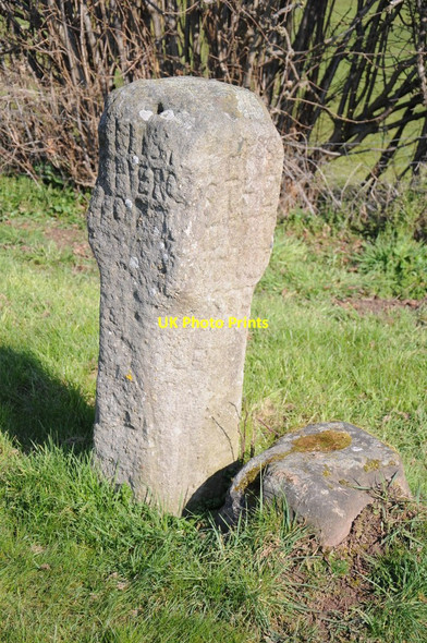 Photo 6"x4" White Stone, Withington White Stone\/SO5642 c2013 P1
