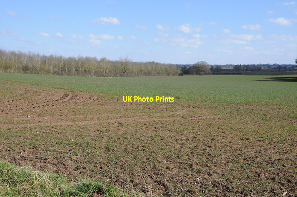 Photo 6"x4" Arable field near Westhide Dodmarsh c2013