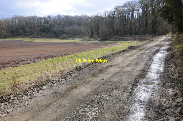 Photo 6"x4" Bridleway below Rough Plantation Shucknall c2013
