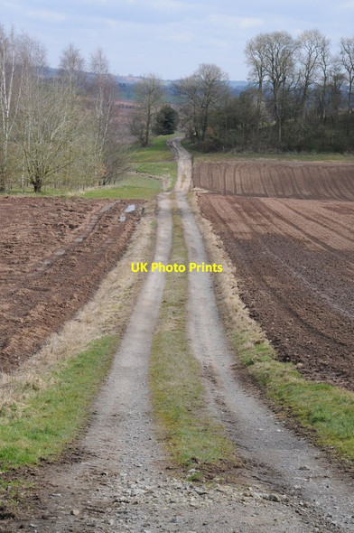 Photo 6"x4" Farm track Westhide c2013