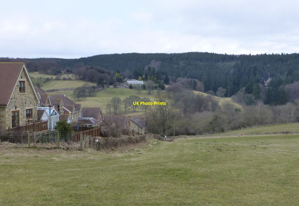 Photo 6"x4" Pasture on the south east edge of Rothbury Knocklaw c2013