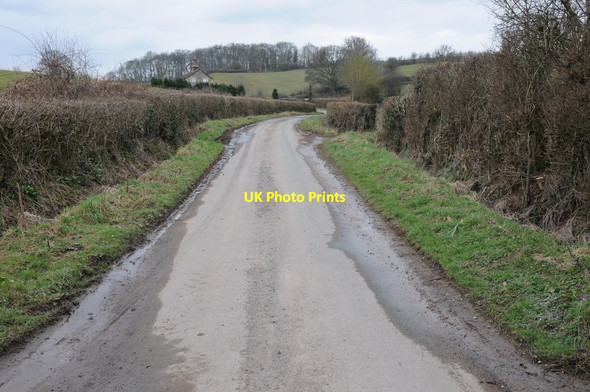 Photo 6"x4" Country road at Lower Lyde Lyde Cross c2013