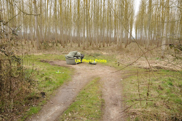 Photo 6"x4" Fly-tipping in a plantation, Five Bridge Dormington c2013