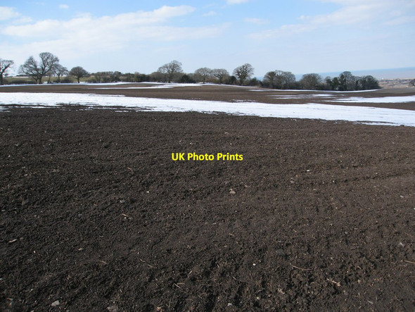 Photo 6"x4" Ploughed field and woodland Glan-yr-afon\/SJ1181 c2013