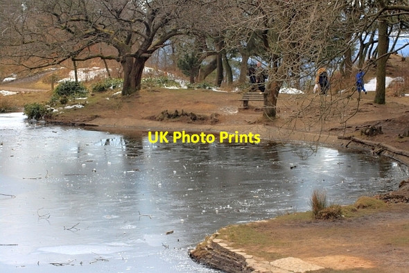 Photo 6"x4" Manamde Lake in the Terrace Gardens Horwich c2013