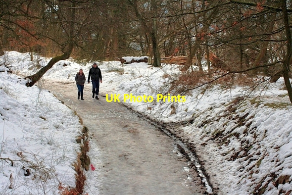 Photo 6"x4" Roynton Road Rivington c2013