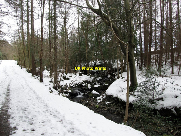 Photo 6"x4" Meandering stream below Maria's Bridge Kilcoo c2013