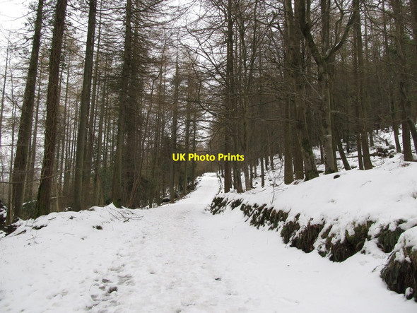 Photo 6"x4" Snow covered forestry road above Parnell's Bridge Kilcoo c2013